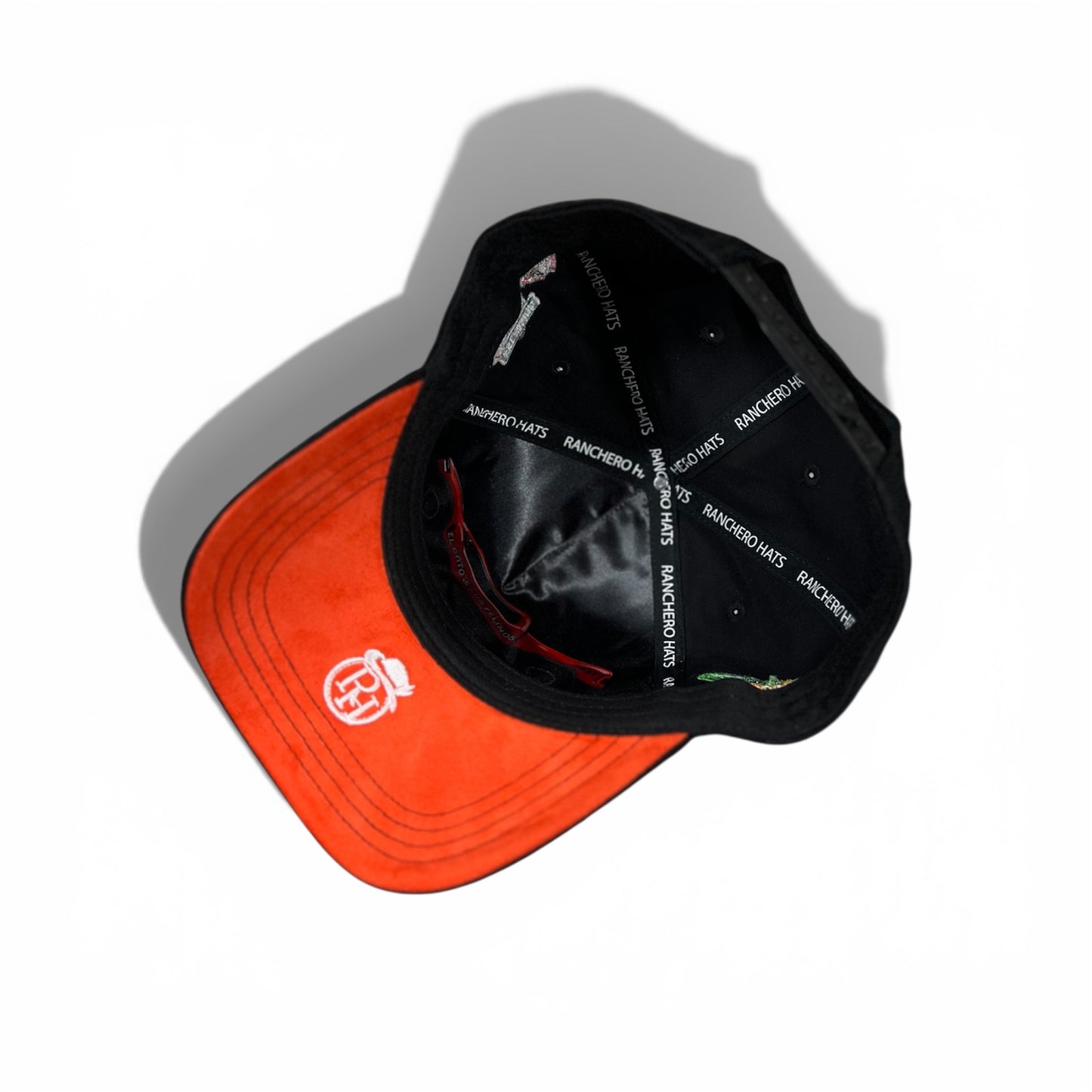 El Gato y Sus Felinos-RH